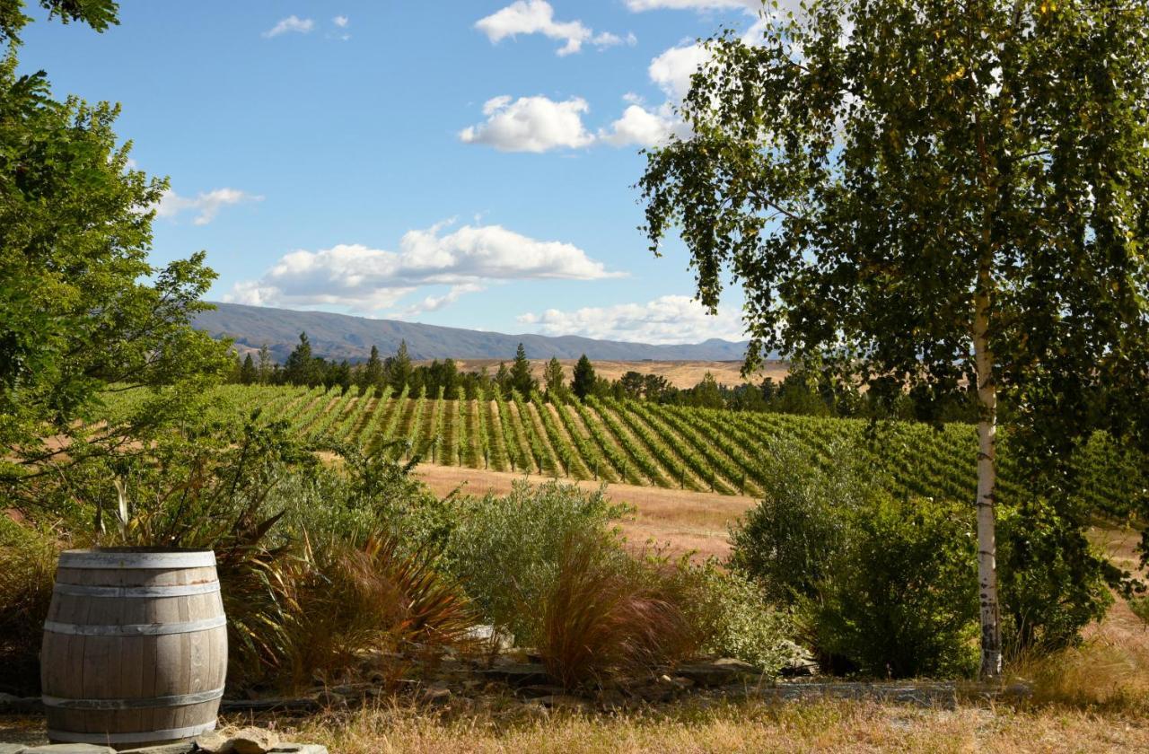 Grey Ridge Vineyard Experience Acomodação com café da manhã Alexandra Exterior foto